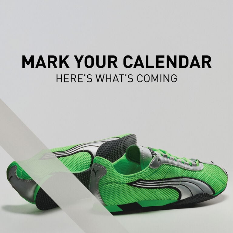 Launch Calendar